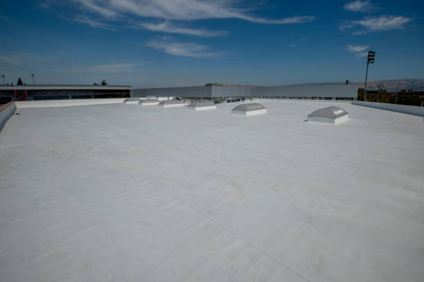 Best Skylights  in Greenbriar, VA