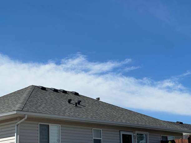 Best Asphalt Shingle Roofing  in Greenbriar, VA